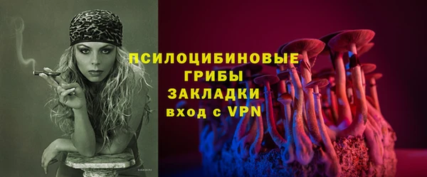 a pvp Алзамай