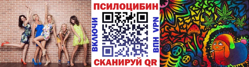 Псилоцибиновые грибы Psilocybe  Бабаево 