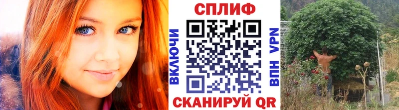 Конопля конопля  наркошоп  Бабаево 